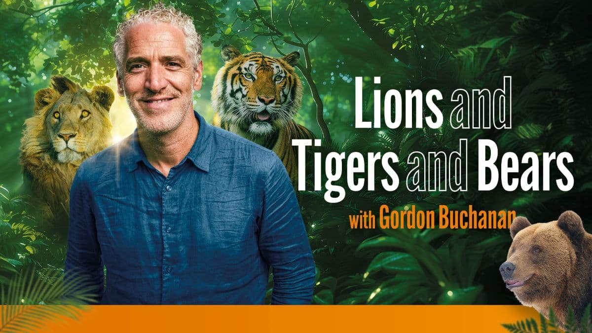 Hero image for Gordon Buchanan - Lions and Tigers and Bears